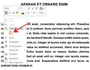 How to add background image in MS Word - OfficeBeginner