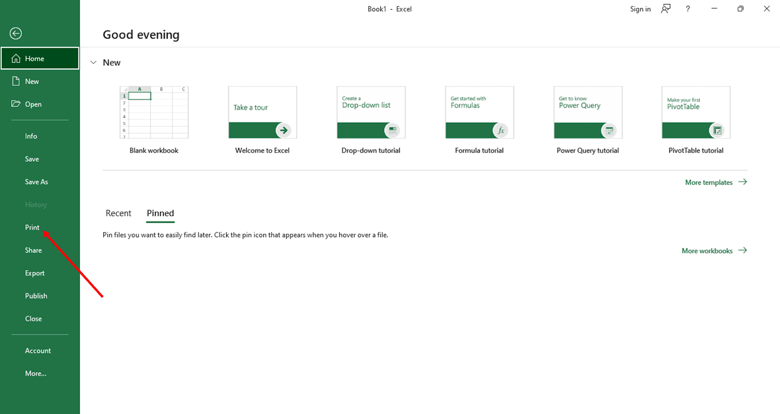 How to Print an Entire Workbook in MS Excel - OfficeBeginner