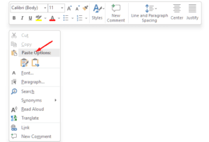 How to Insert Source Code in MS Word - OfficeBeginner